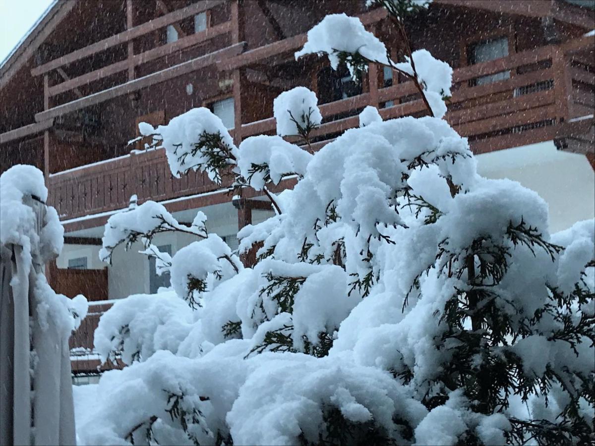 Le Hameau Des Neiges Apartment พลาซ-ซัวร์-อาร์ลี ภายนอก รูปภาพ